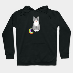 Rainbow Cat Cutie Hoodie